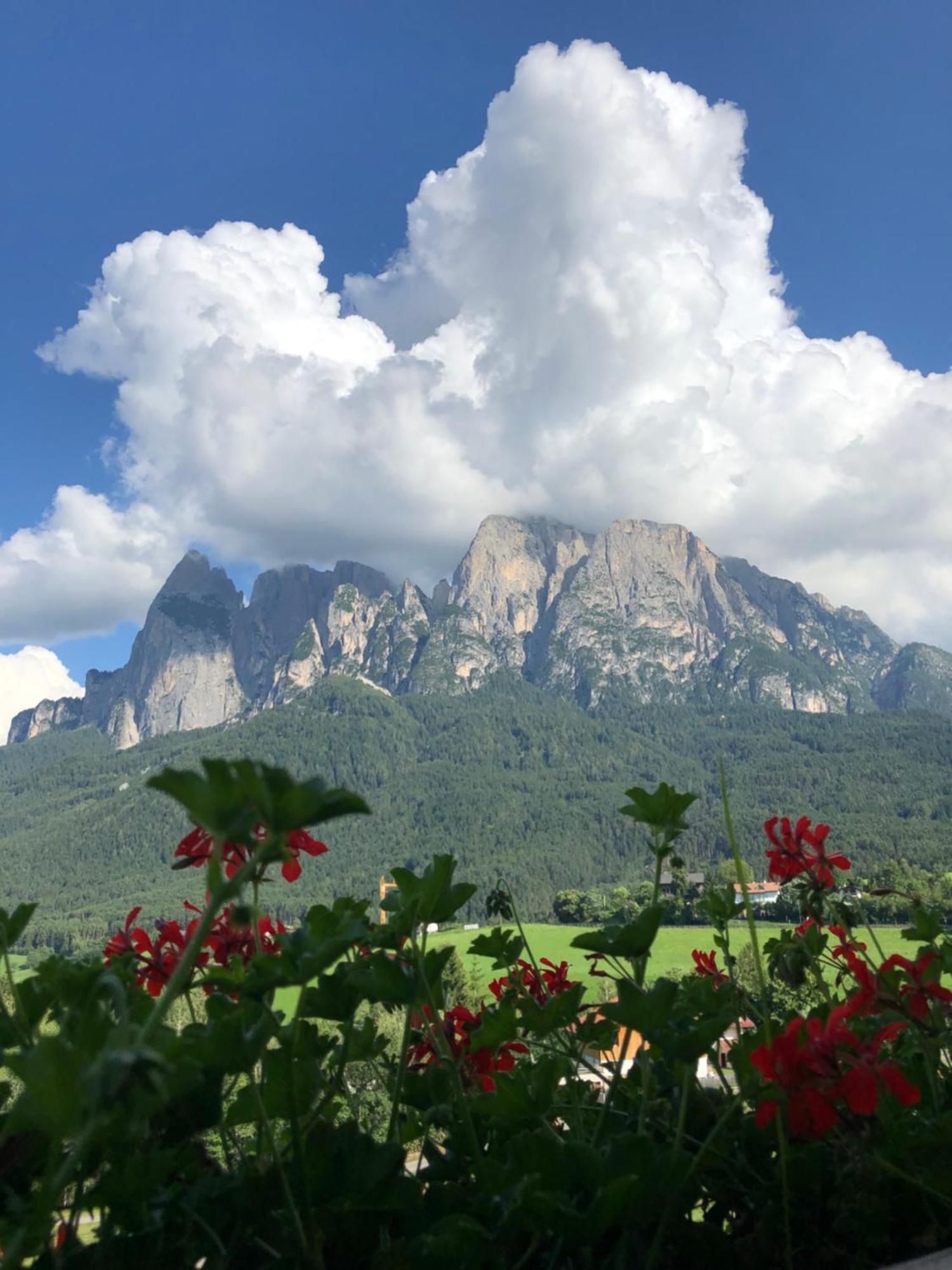 Mesnerhof My Paradise ฟีแอ ภายนอก รูปภาพ