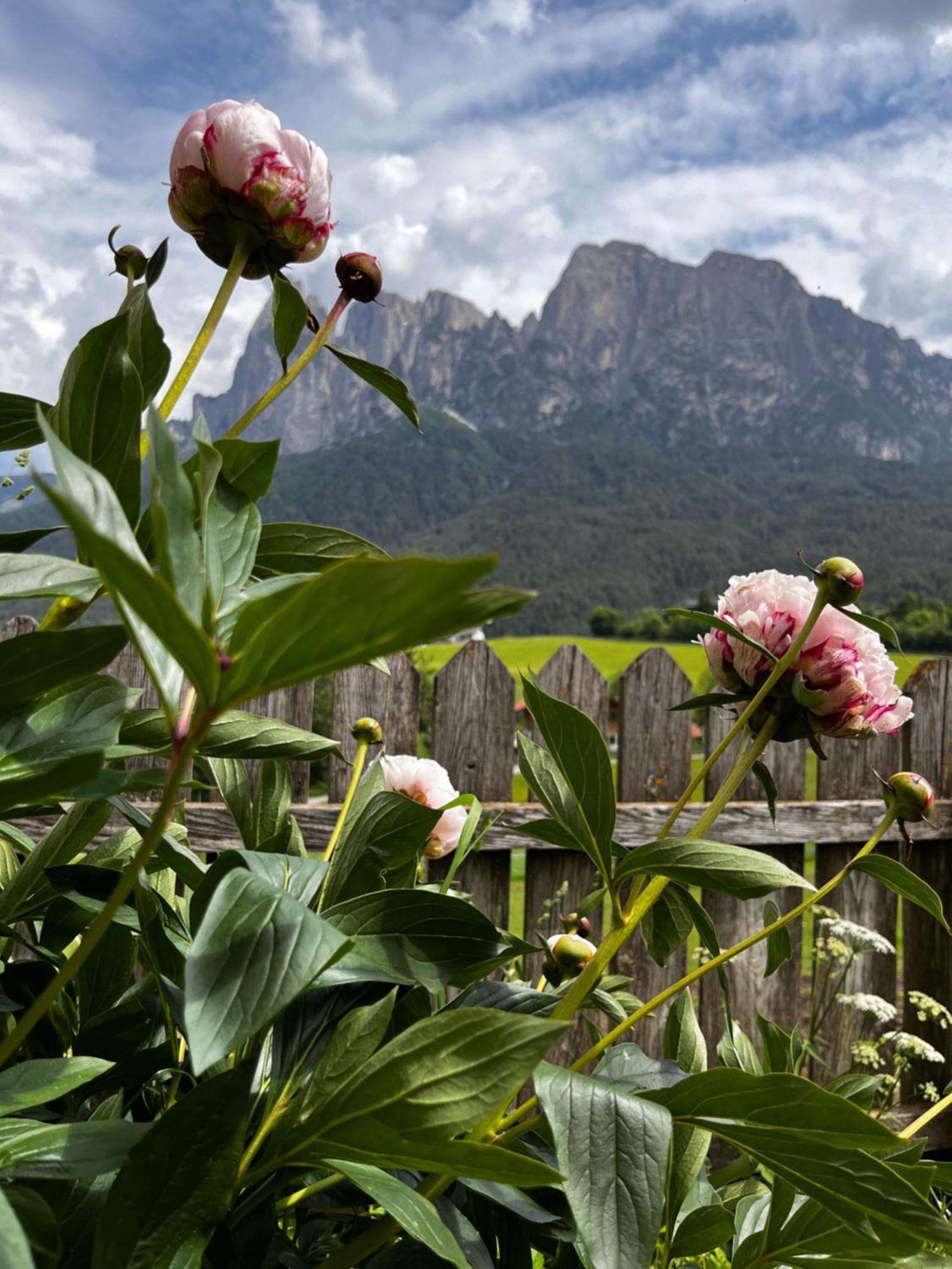 Mesnerhof My Paradise ฟีแอ ภายนอก รูปภาพ